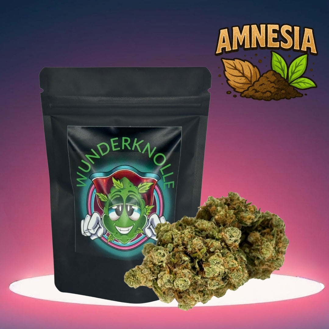 Amnesia (CBD Blüte)