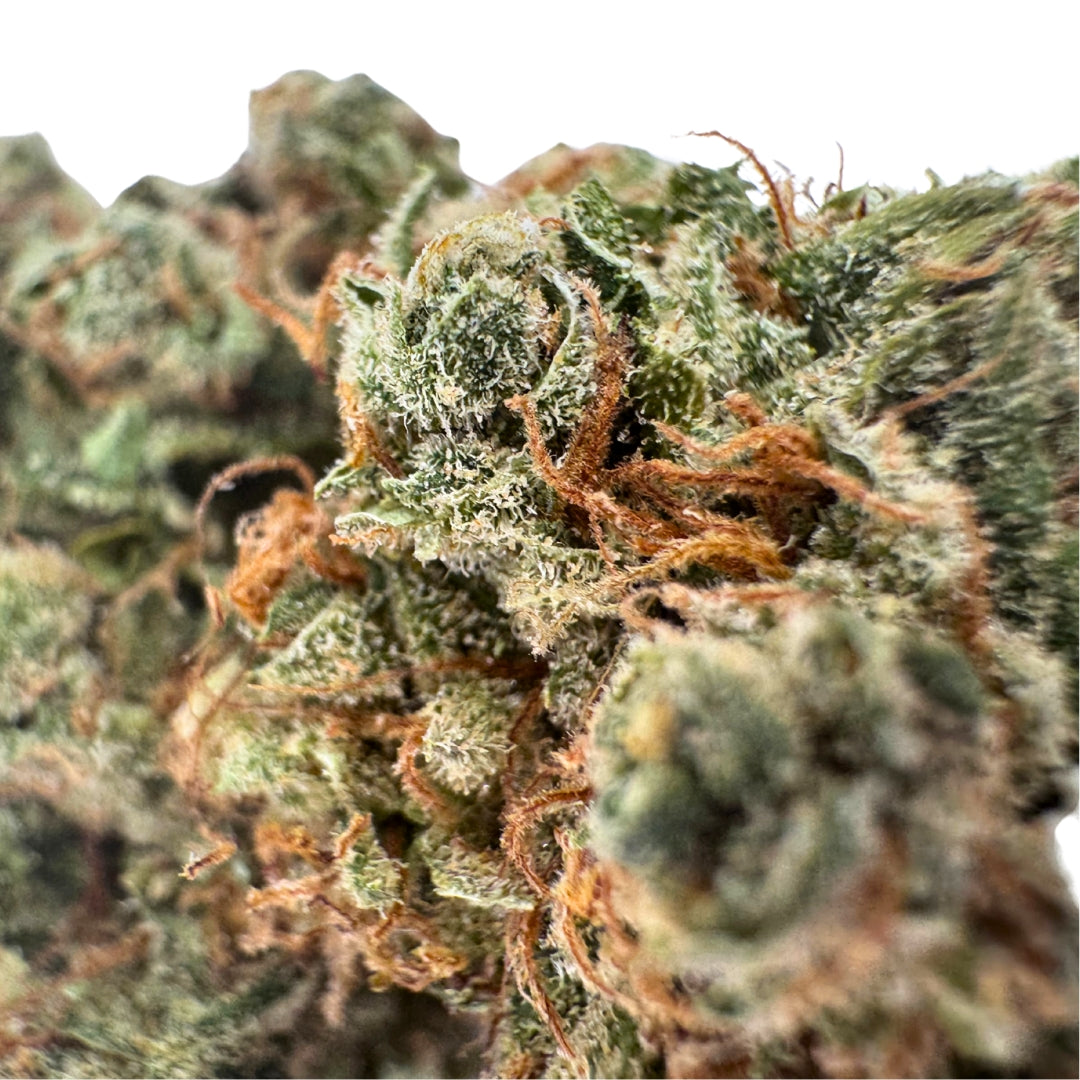 Amnesia (CBD Blüte)