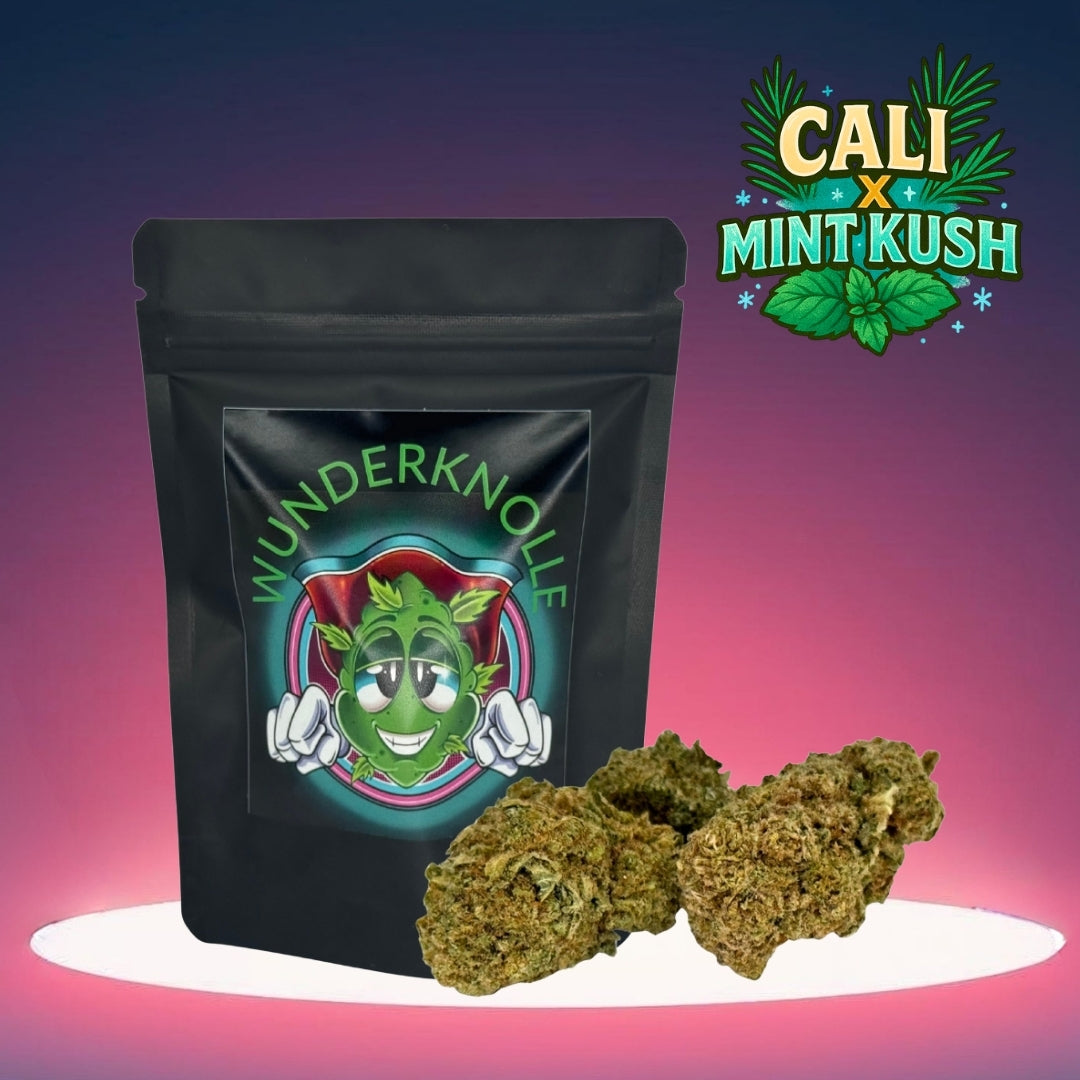 Cali x Mint Kush (CBD Blüte)
