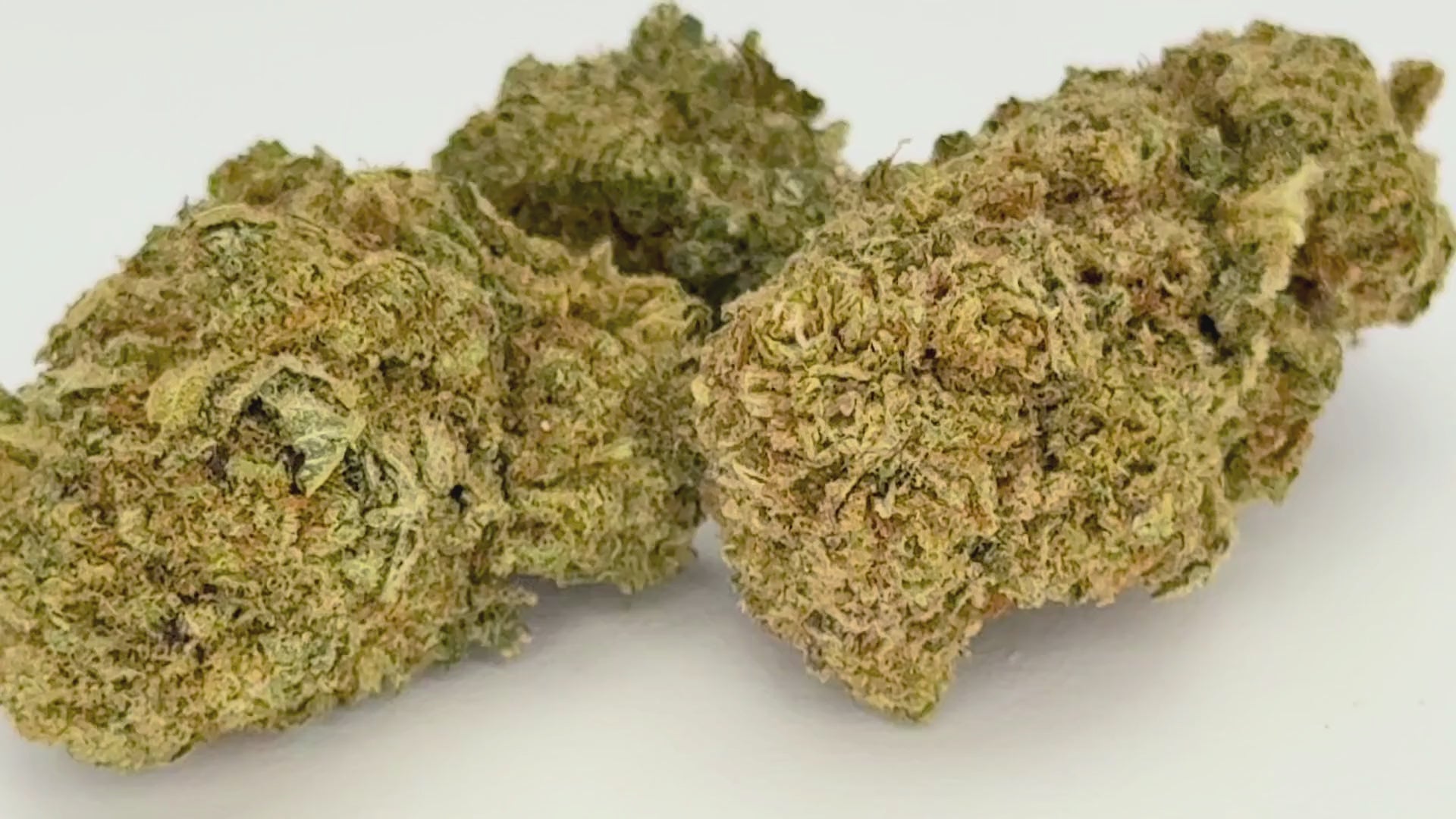 Cali x Mint Kush (CBD Blüte)