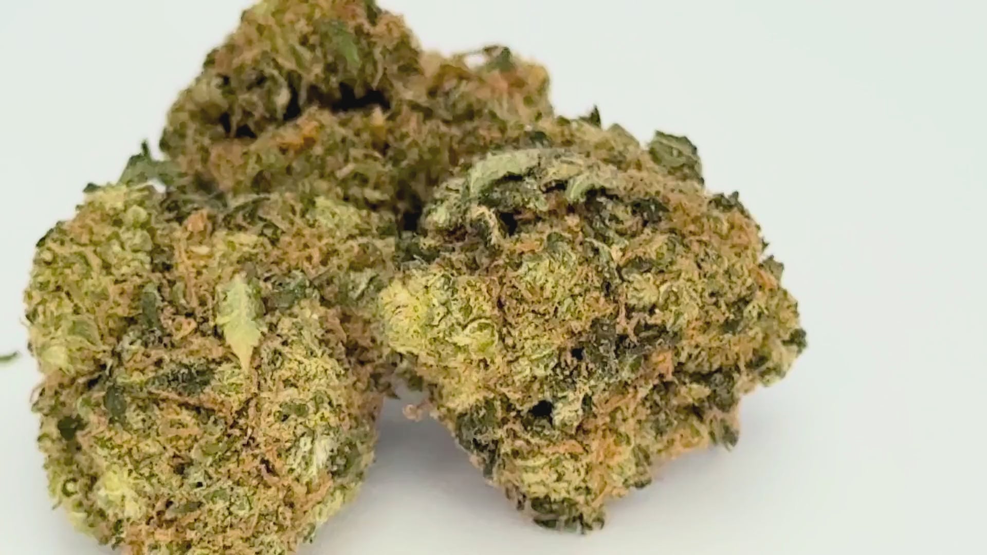 Cali x Mandarine (CBD Blüte)