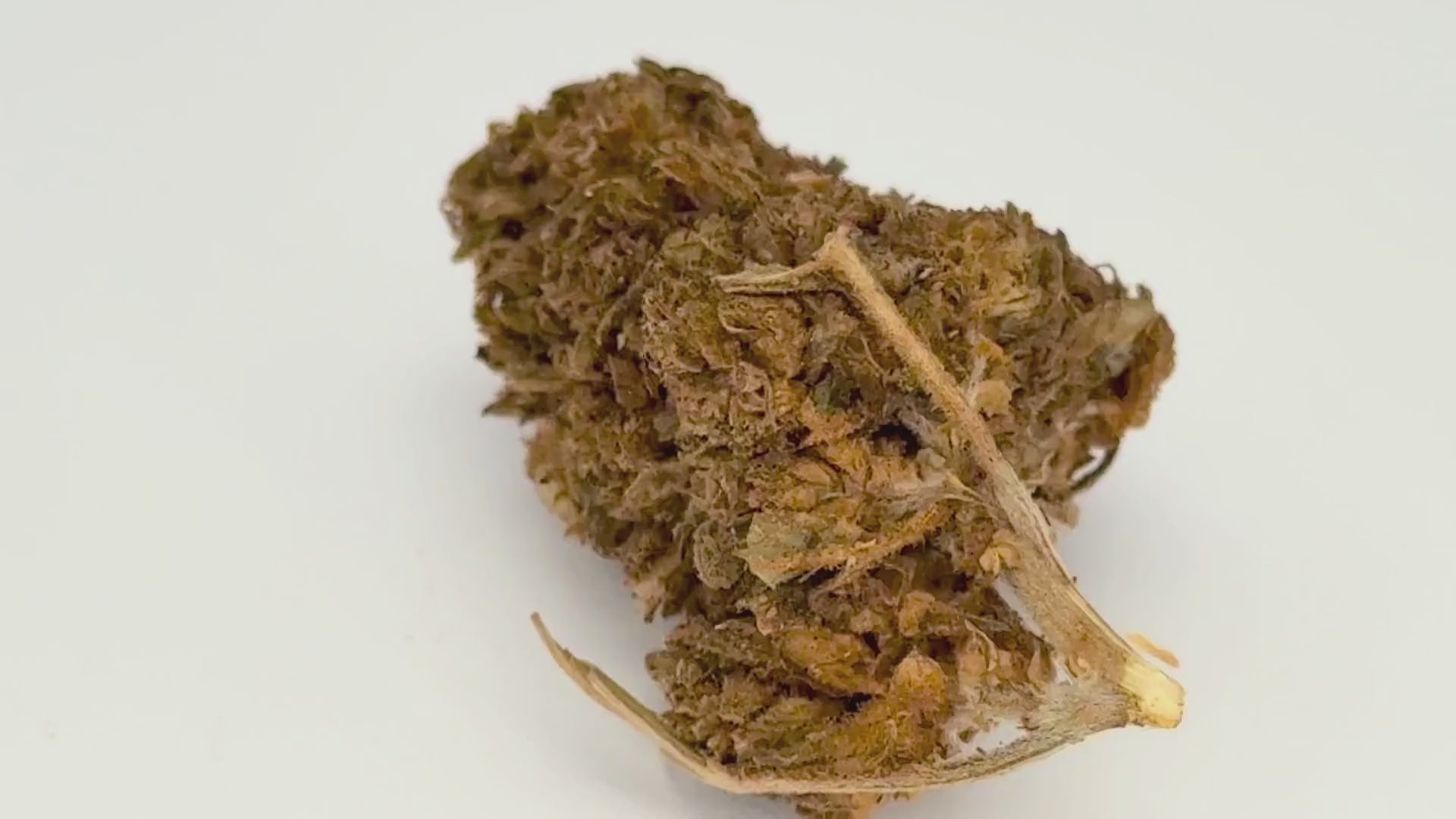 Orange Bud (CBD Blüte)