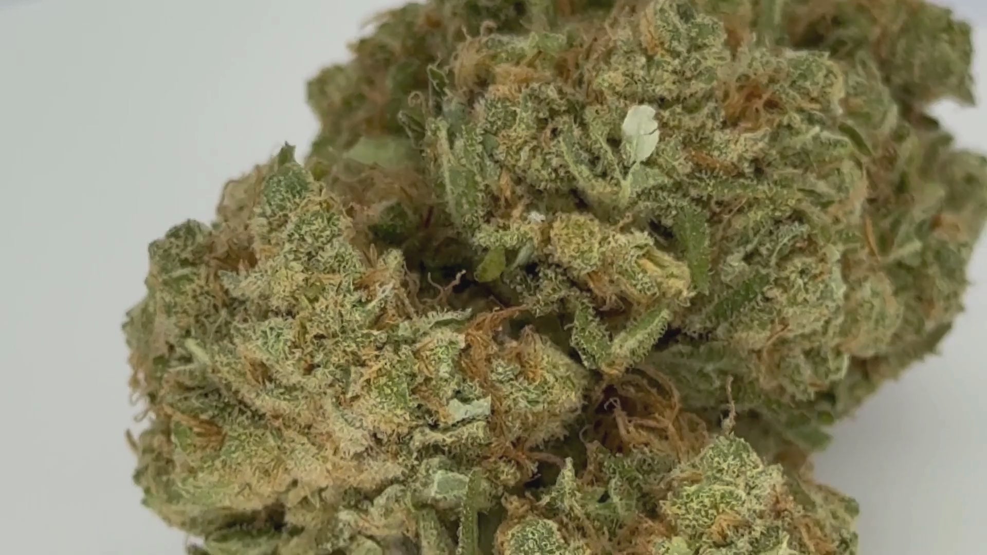 Amnesia (CBD Blüte)