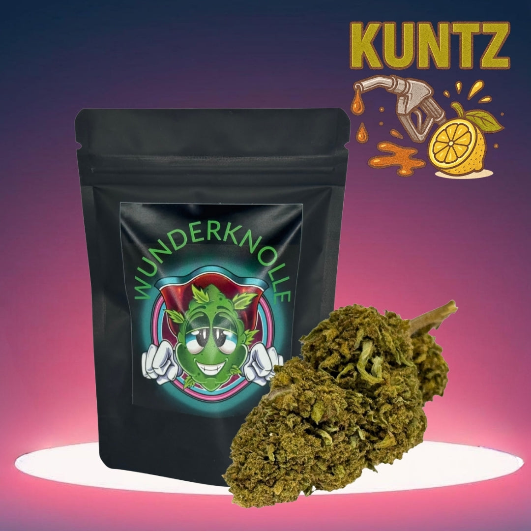 Kuntz (High CBD Blüte)