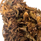 Orange Bud (CBD Blüte)