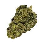 Phantom OG (CBD Blüte)