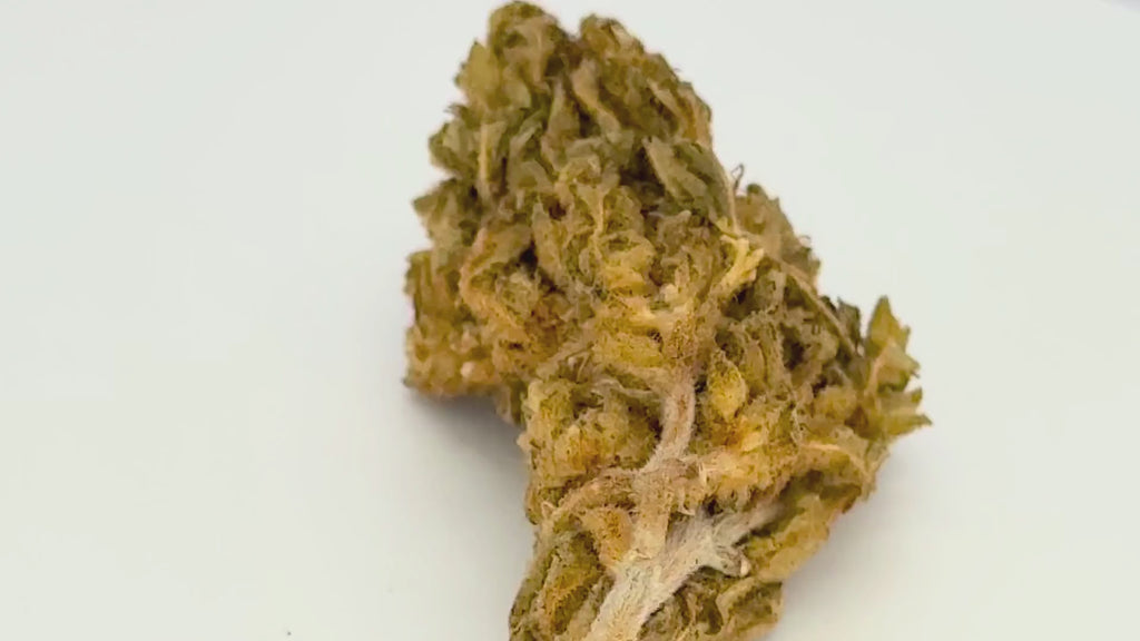 Cookies (CBD Blüte)