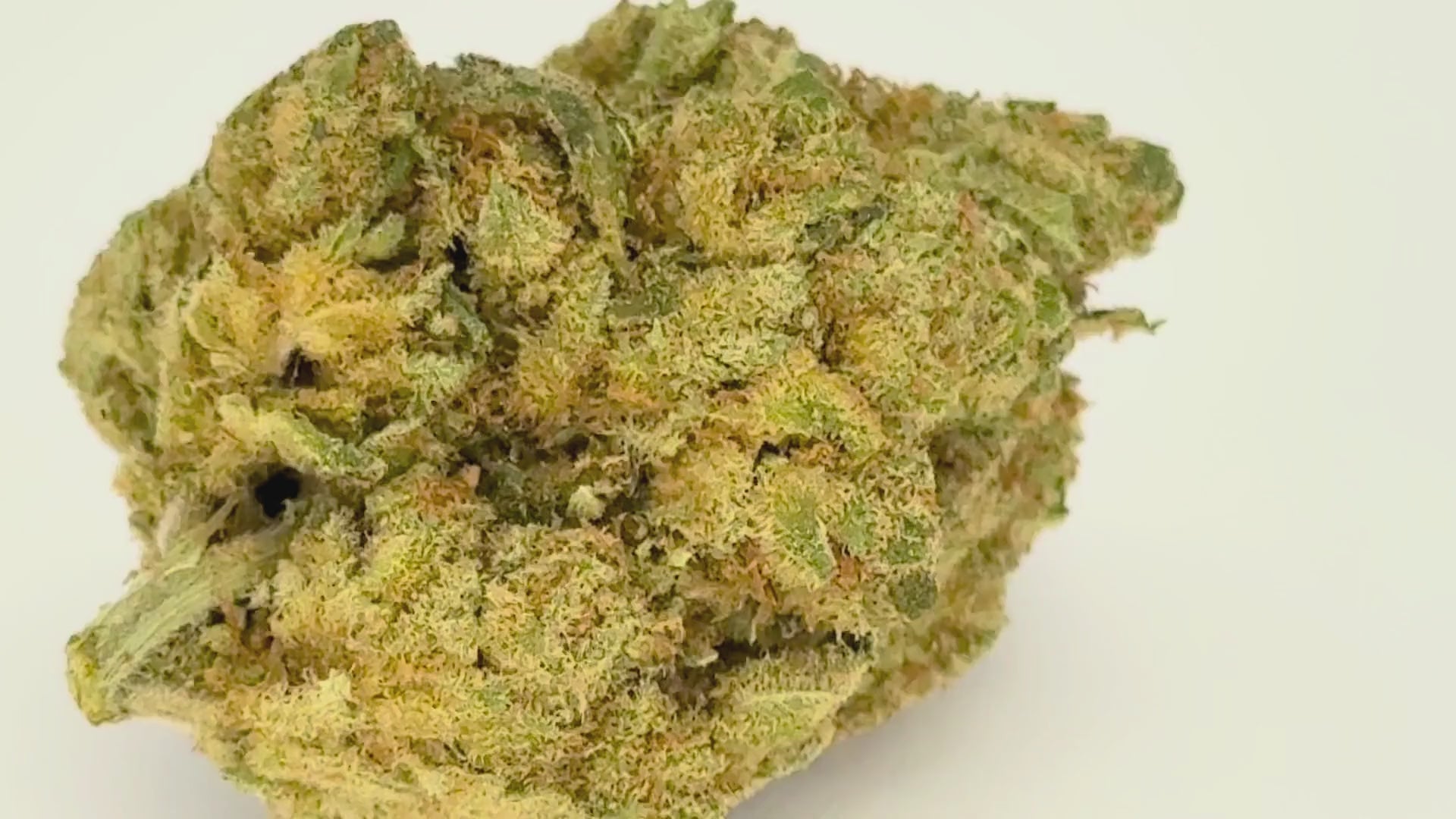 Lemon Hydro (CBD Blüte)