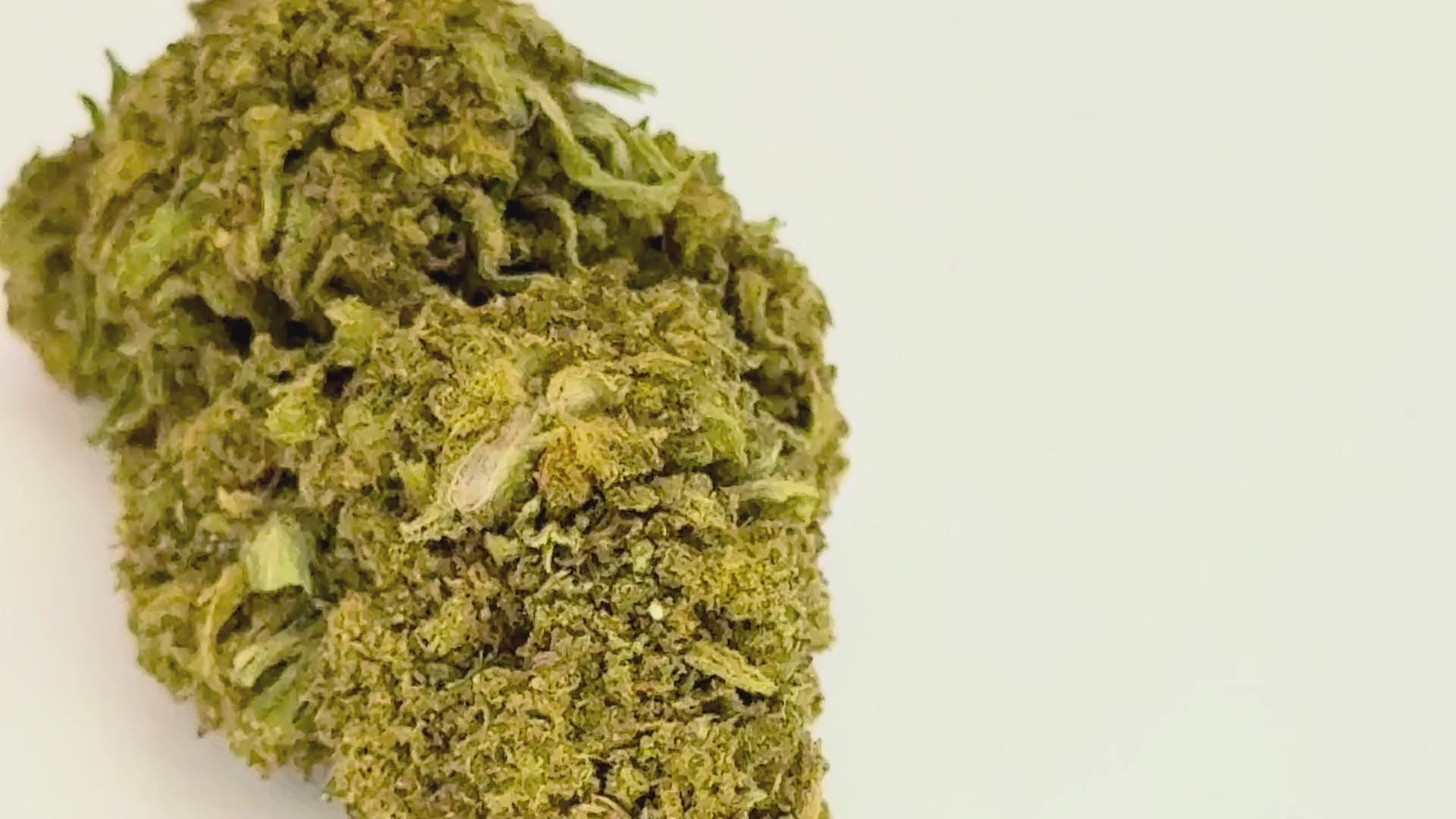 Kuntz (High CBD Blüte)