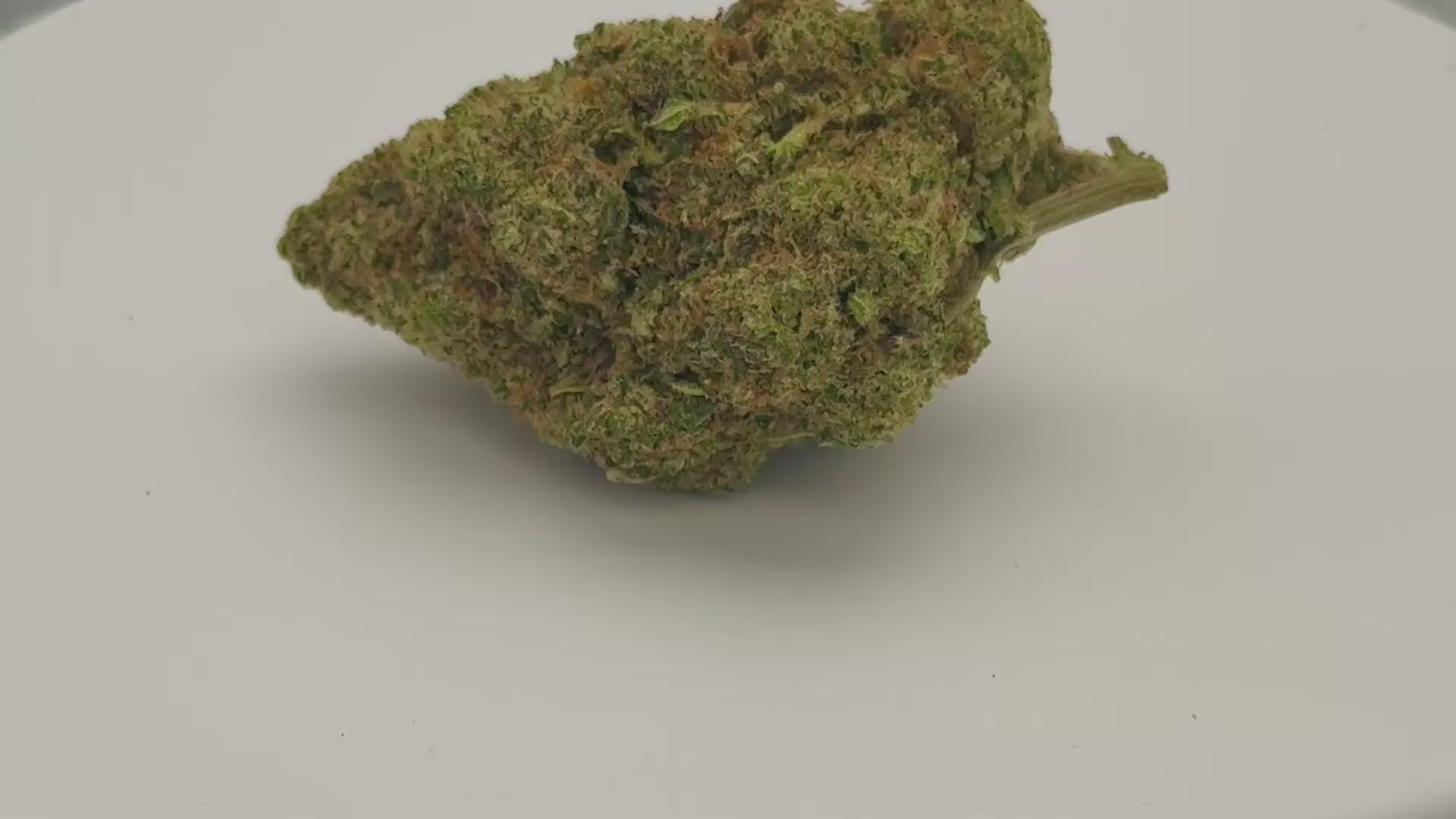 Forbidden Fruit (CBD Blüte)