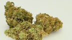 Alien Fruit (CBD Blüte)
