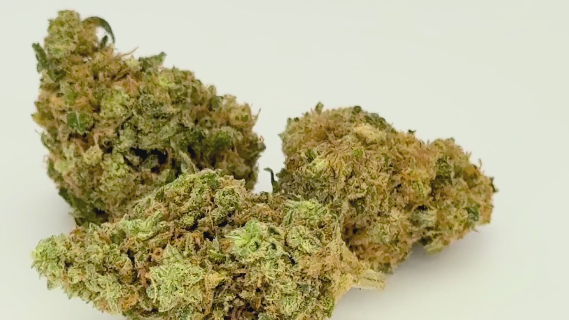 Alien Fruit (CBD Blüte)